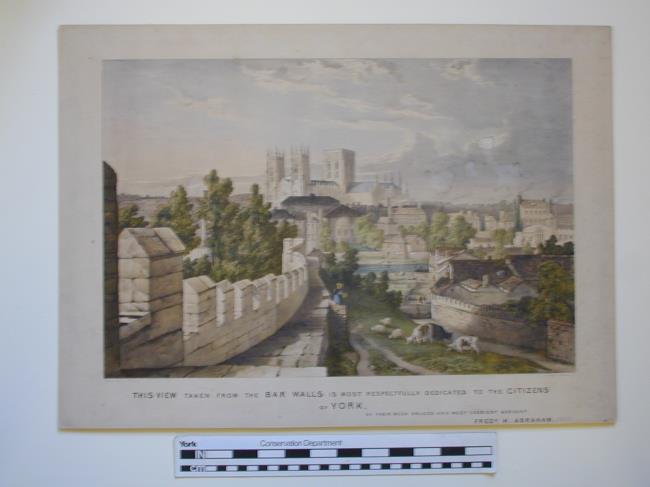 This View Taken From The Bar Walls Is Most Respectfully Dedicated to the Citizens of York