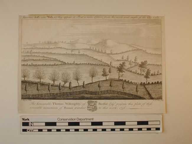 Severus's hills near York, as they appear at about a miles distance from the north-west angle of the City Walls