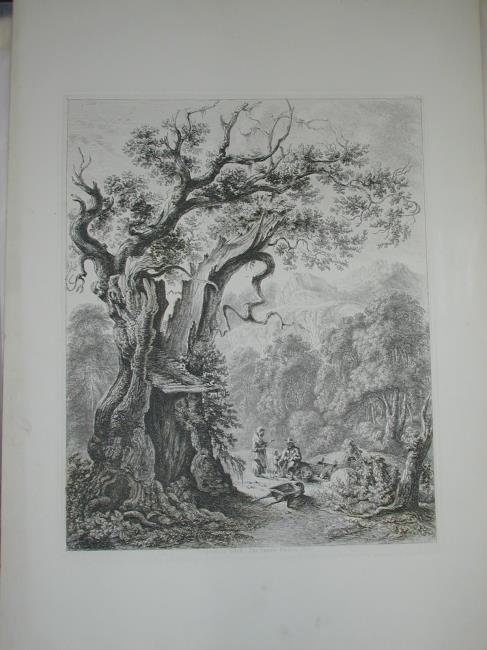 Ceubren yr Ellyll, The Spirit's Blasted Tree