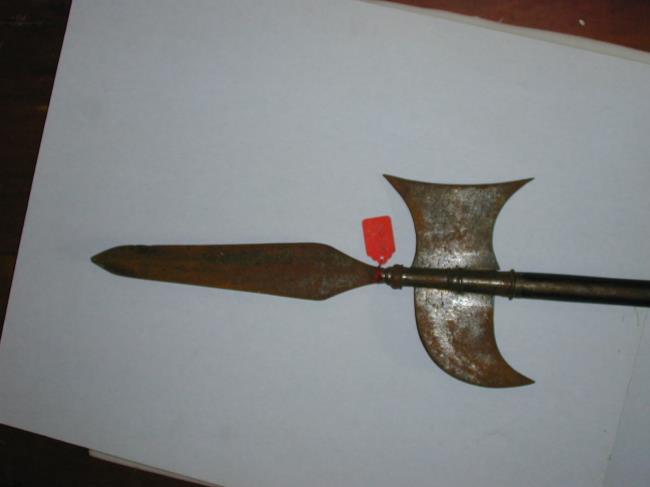 Download image | Halberd | York Museums Trust