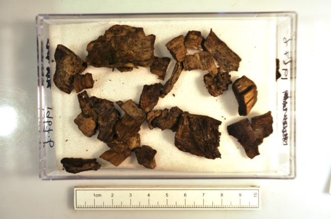 Bolton Percy Hoard