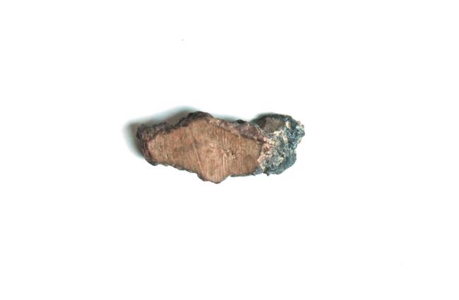 Lamplough-Lidster Collection. Broxa Barrow 1