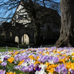Hospitium in Spring. Photo by Mike Linstead