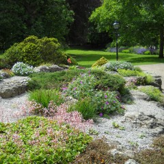 York Museum Gardens Rockery