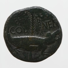 Reverse of a Roman coin from Egypt showing a crocodile YORYM:2001.1344
