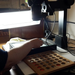 Numismatics volunteer Kerrie using a copy stand to produce high-resolution images of coins.