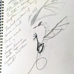 One of the sketches for the dragons by Jane Plahe