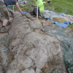 The team working on the Cob Dragon