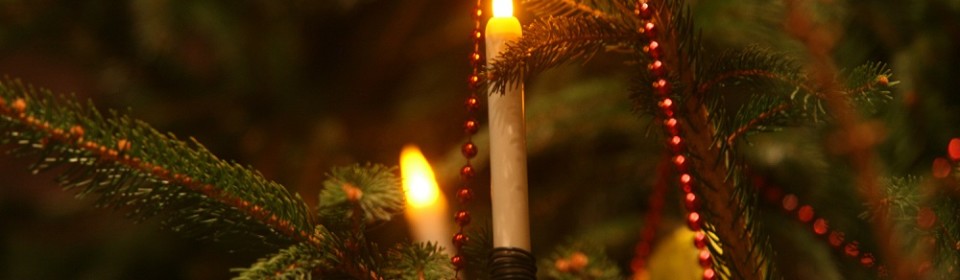 Textiles: Embellished Christmas Decorations