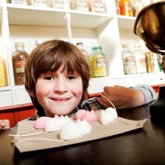 A young boy with sugar mice on a counter at York Castle Museum