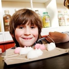 A boy peers over an old-fashioned shop counter at some sugar mice.