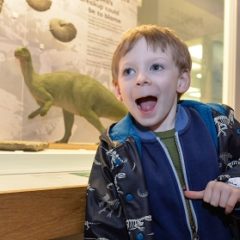 A young boy gasps in excitement at a dinosaur exhibition at the Yorkshire Museum