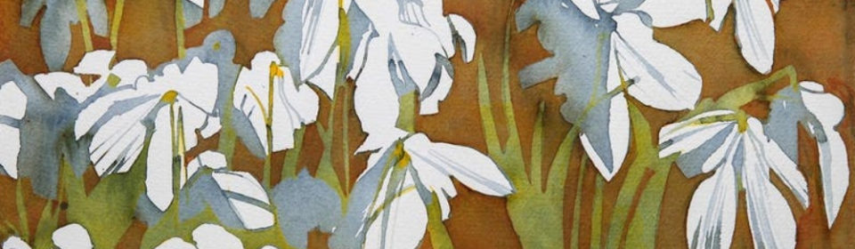 A painting of some white flowers.