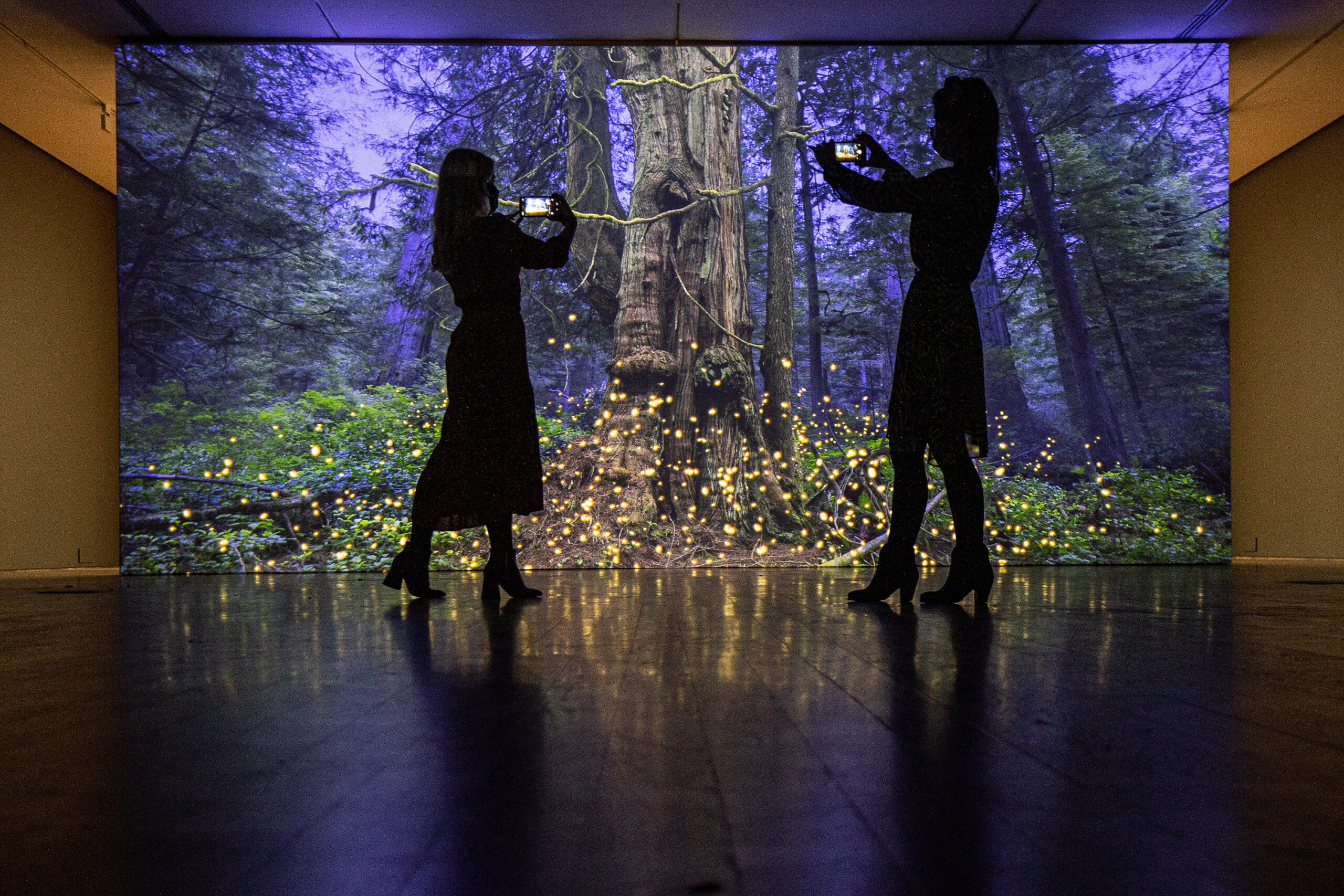 York Art Gallery and Mediale celebrate new collaboration York Museums