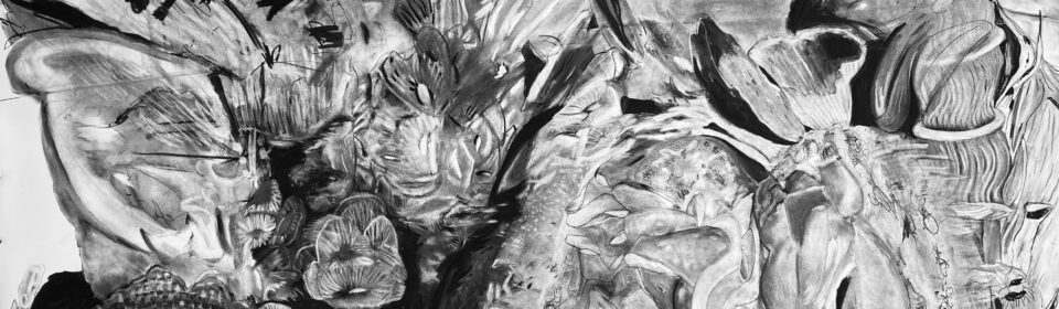 Teenage Art School 2023 York Museums Trust teenage-art-school-2023-york-museums-trust