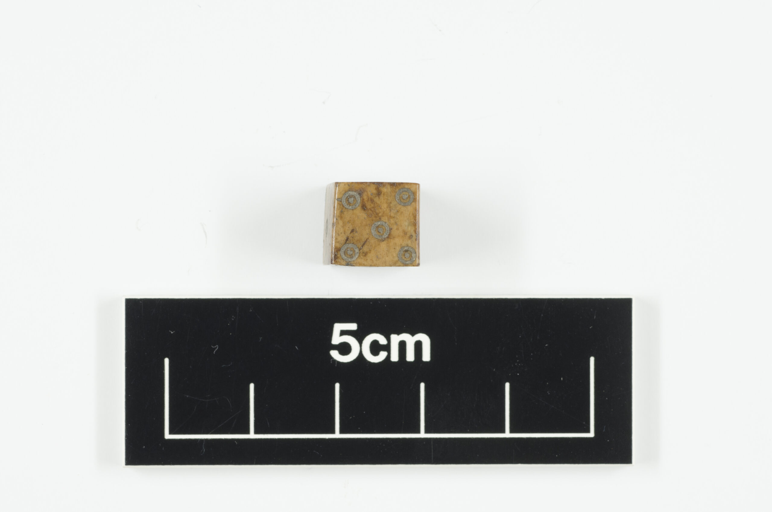 Six-sided die; numbers on each side are indicated by ring and dot. Pictured is the side with five dots.
